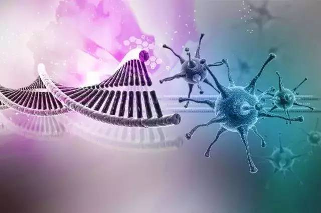 基因檢測 定義、意義與適用人群